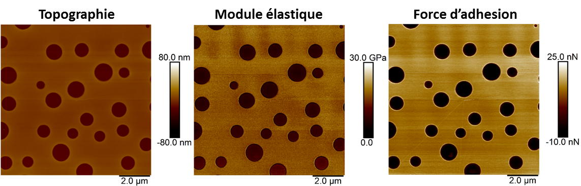 AFM 4