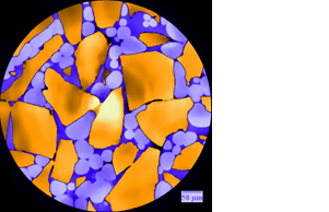  Images en micro-tomographie X synchrotron (ESRF)