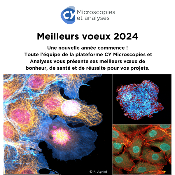 CY Microscopies & Analyses - Voeux 2024 