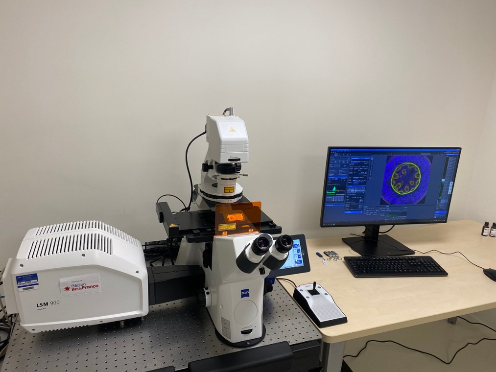 Un nouveau microscope confocal à la plateforme M&A !